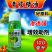 青皮精油植物油助剂100毫升杀虫杀螨增效剂