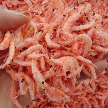 麟虾虾干