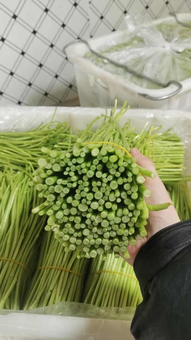 芦蒿黎蒿市场货电商货商超