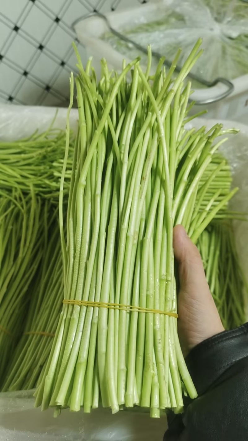 芦蒿黎蒿市场货电商货商超