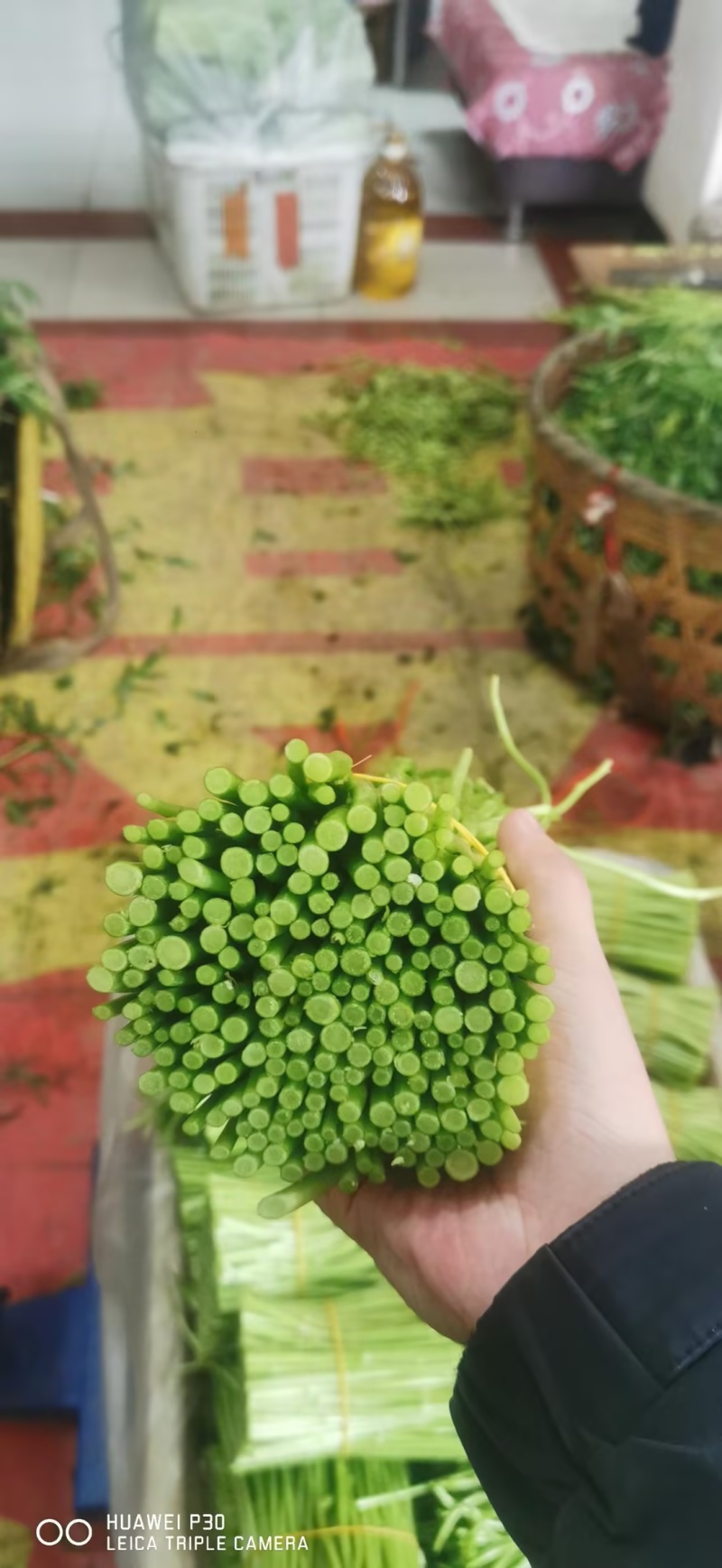 芦蒿黎蒿市场货电商货商超