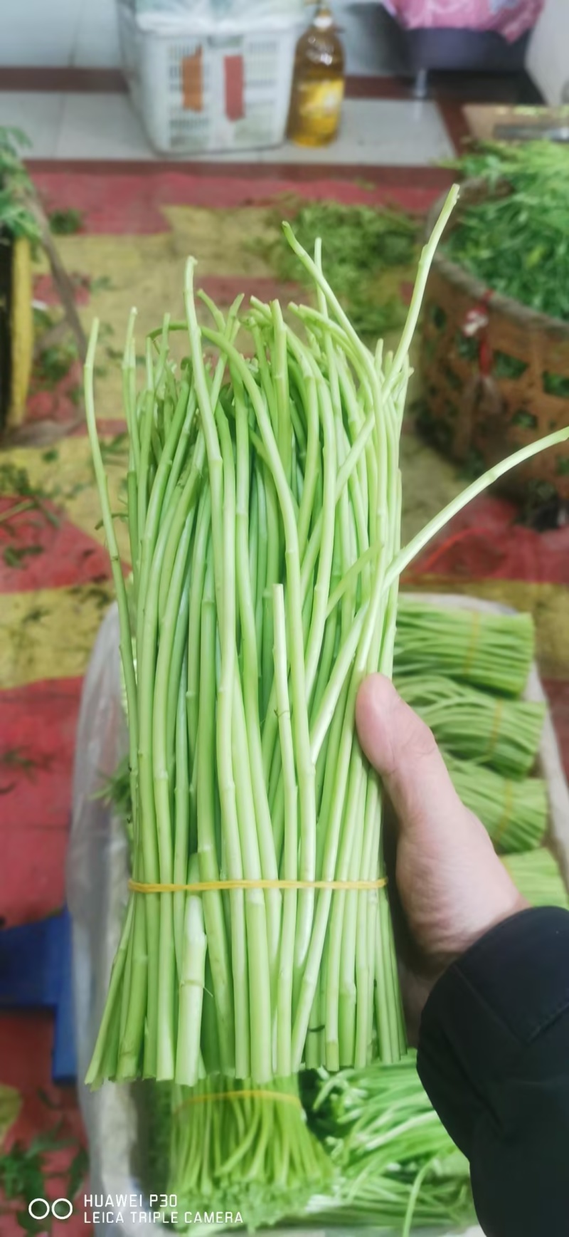 芦蒿黎蒿市场货电商货商超