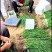 红根蒜苗蒜苗一点红蒜苗湖北蒜苗产地发货一手货源