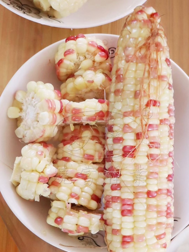 2018宝马天贵糯937玉米种子彩甜糯鲜食苞米甜加糯