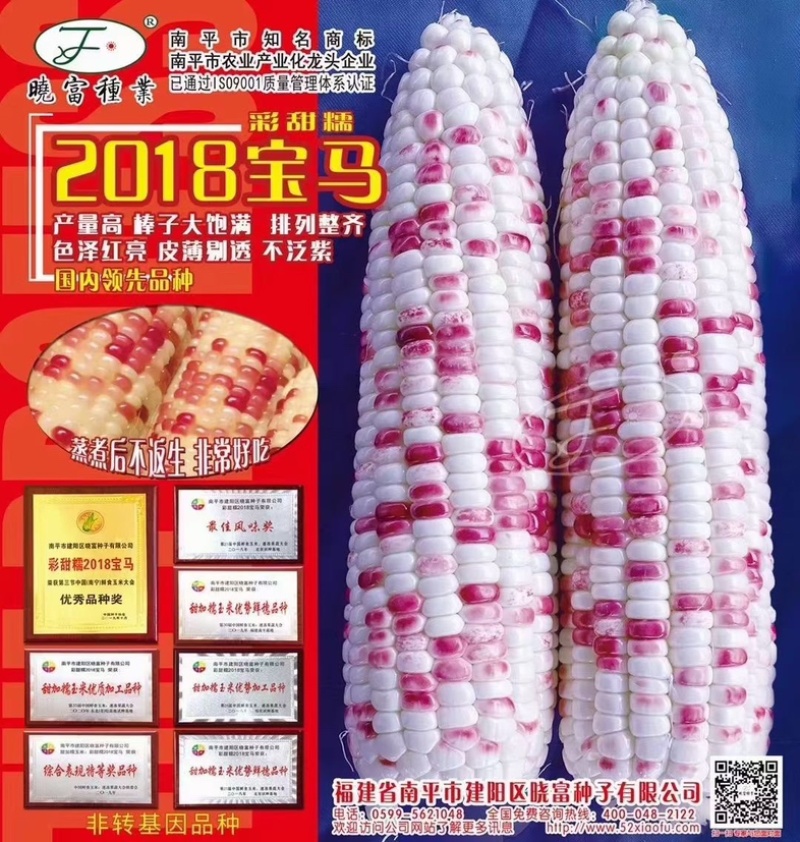 2018宝马天贵糯937玉米种子彩甜糯鲜食苞米甜加糯