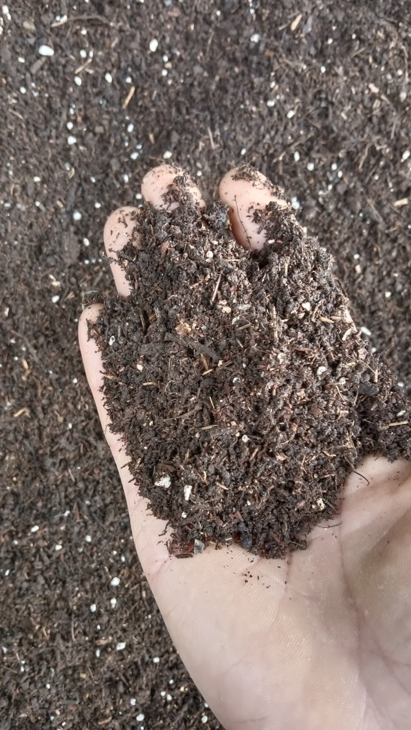 优质营养土，疏松透气，保水保肥不积水不烂根，不生蚊虫杂草