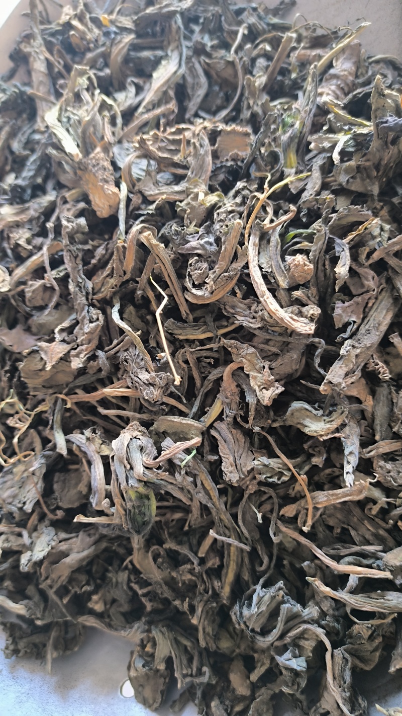 大青叶可打粉中药材批发大青叶质量保证量大从优