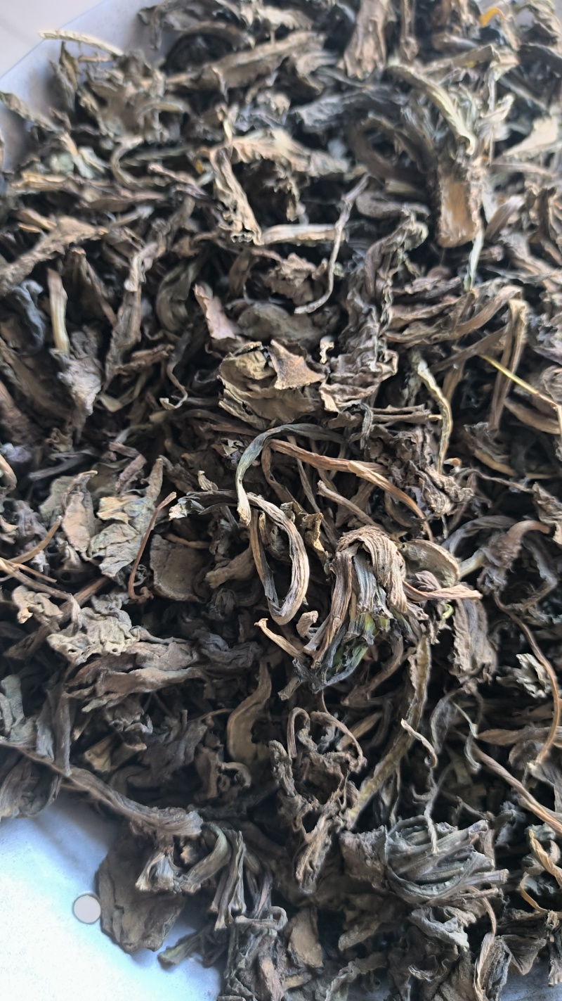 大青叶可打粉中药材批发大青叶质量保证量大从优