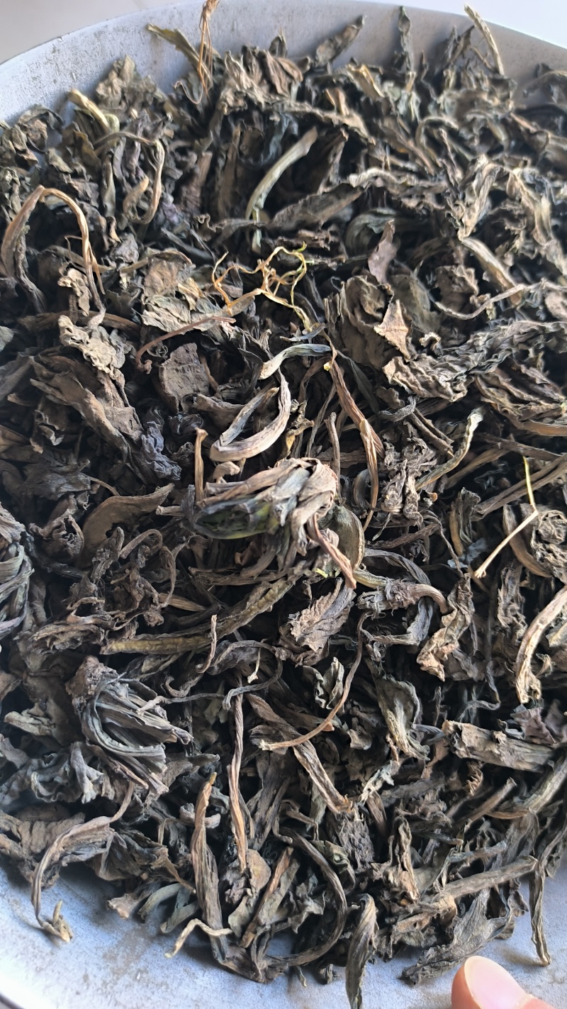 大青叶可打粉中药材批发大青叶质量保证量大从优