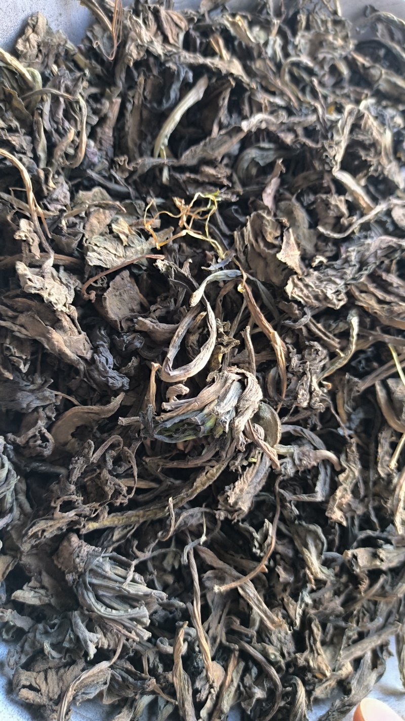 大青叶可打粉中药材批发大青叶质量保证量大从优