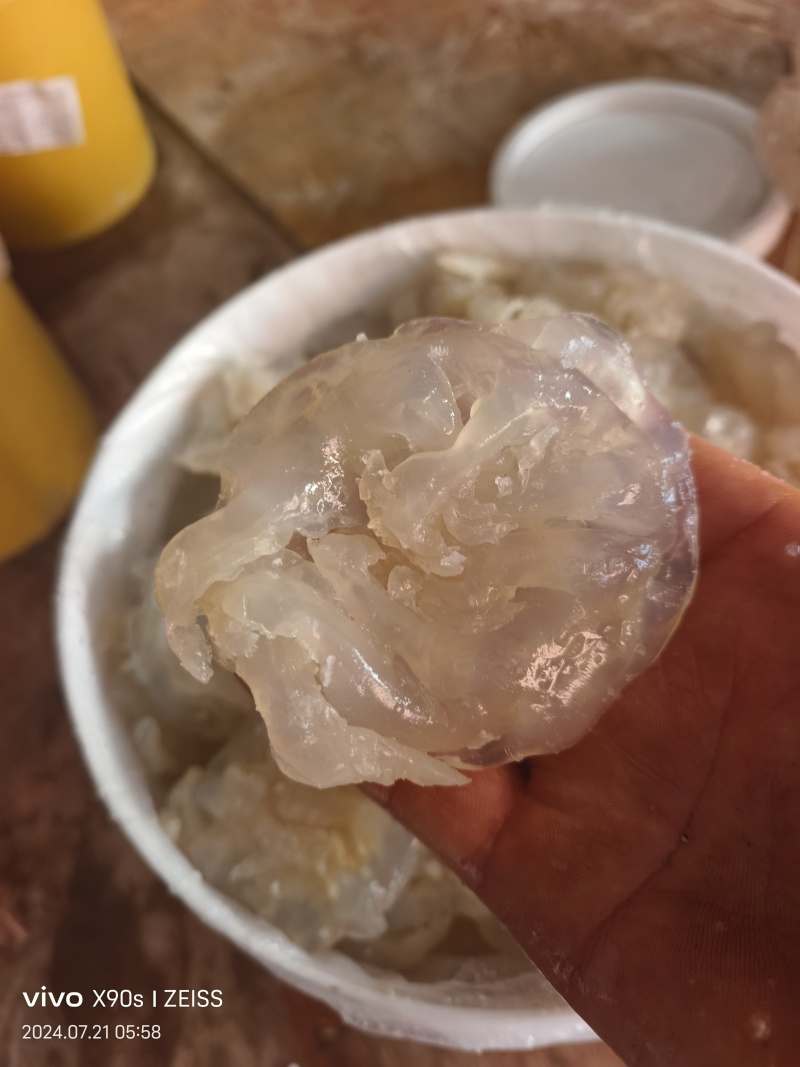 海蛰，桶装，