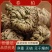 【卷柏】卷柏物美价廉量大从优产地直供