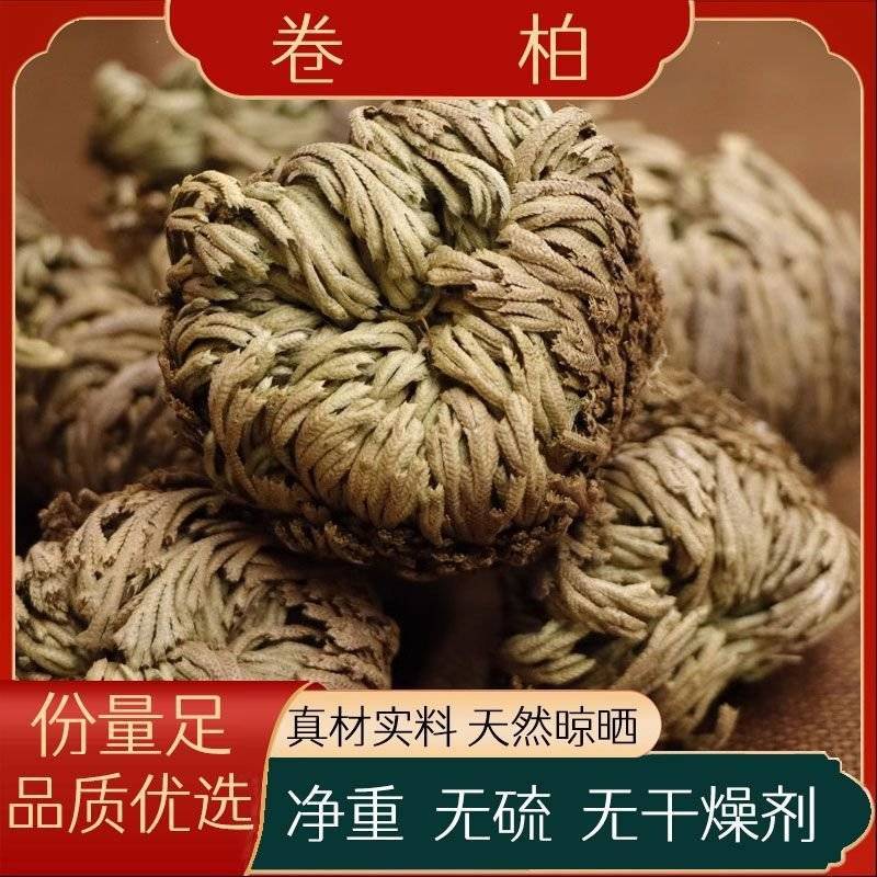 【卷柏】卷柏物美价廉量大从优产地直供