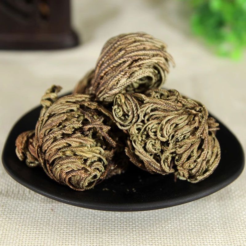 【卷柏】卷柏物美价廉量大从优产地直供
