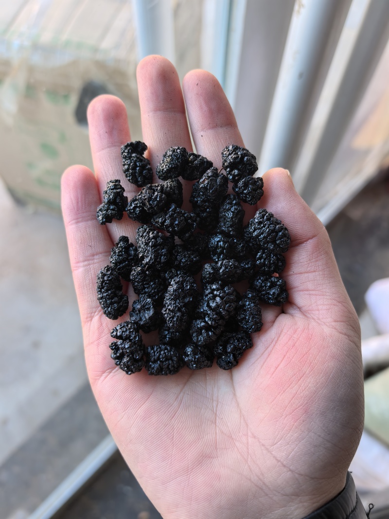 【桑葚】桑葚物美价廉量大从优产地直供