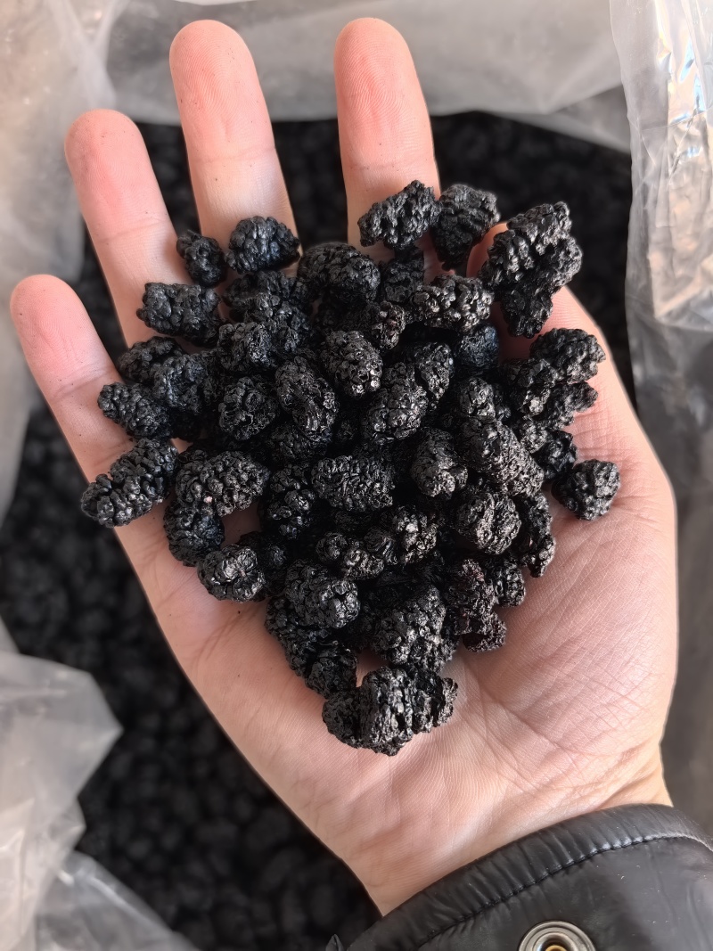 【桑葚】桑葚物美价廉量大从优产地直供