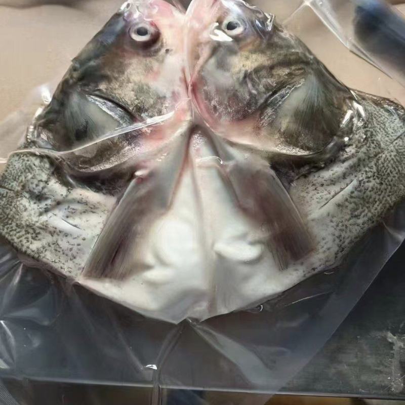 鲢鱼头，速冻锁鲜，无土腥味，量大从优