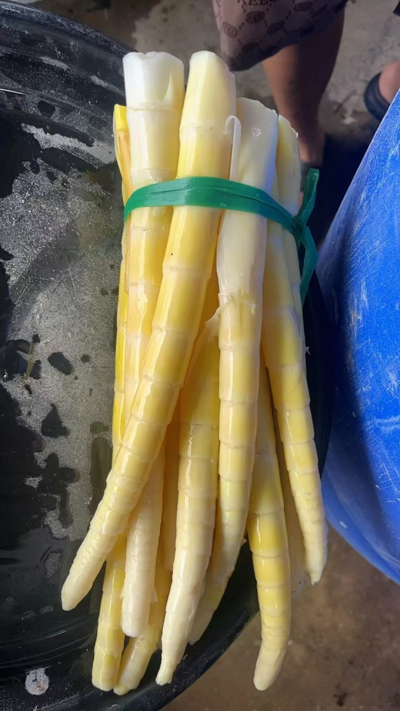 竹笋，各种竹笋支持各种包装