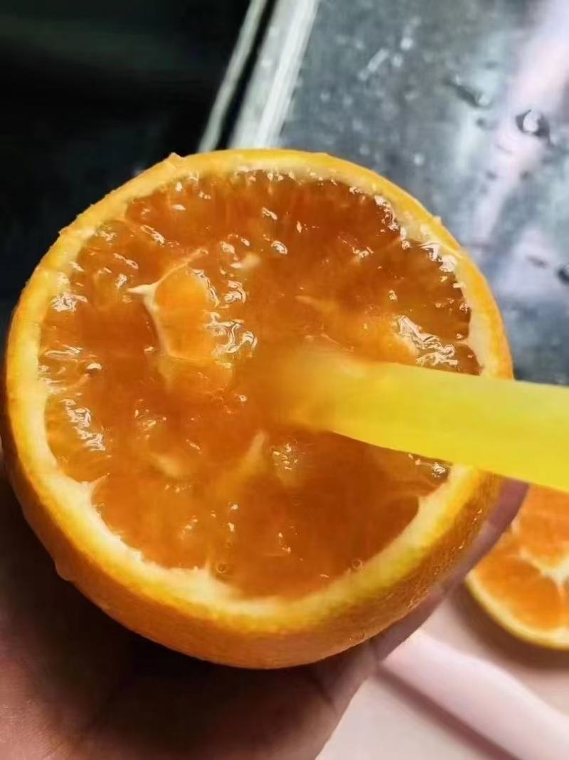 正宗九月红，口感甜，整车走货对接各大商超市场