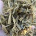黄储玉米秸秆，袋装，不加水，牛羊马驴等适用