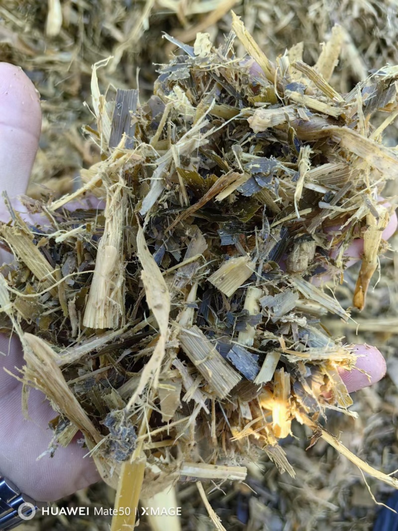 黄储玉米秸秆，袋装，不加水，牛羊马驴等适用