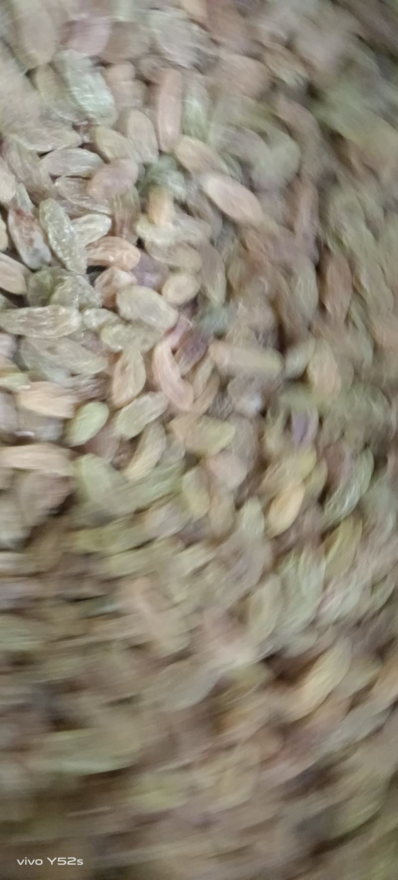 葡萄干无硫无晕染正宗新疆葡萄干