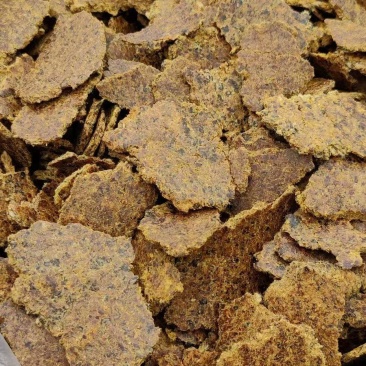 纯棉籽饼，含蛋白有机质高，