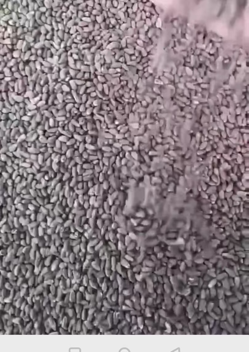 纯棉籽饼，含蛋白有机质高，