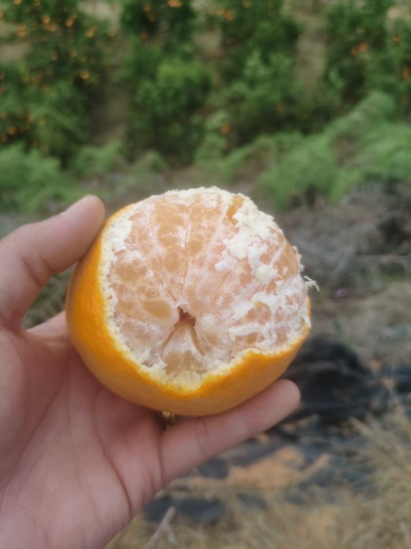 明日见
