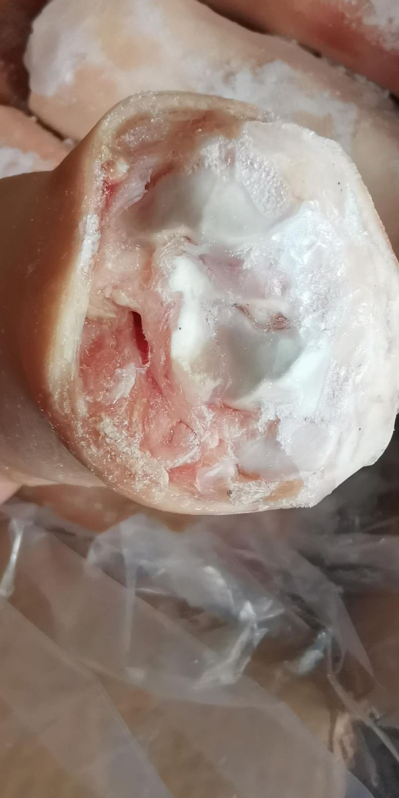 猪蹄
