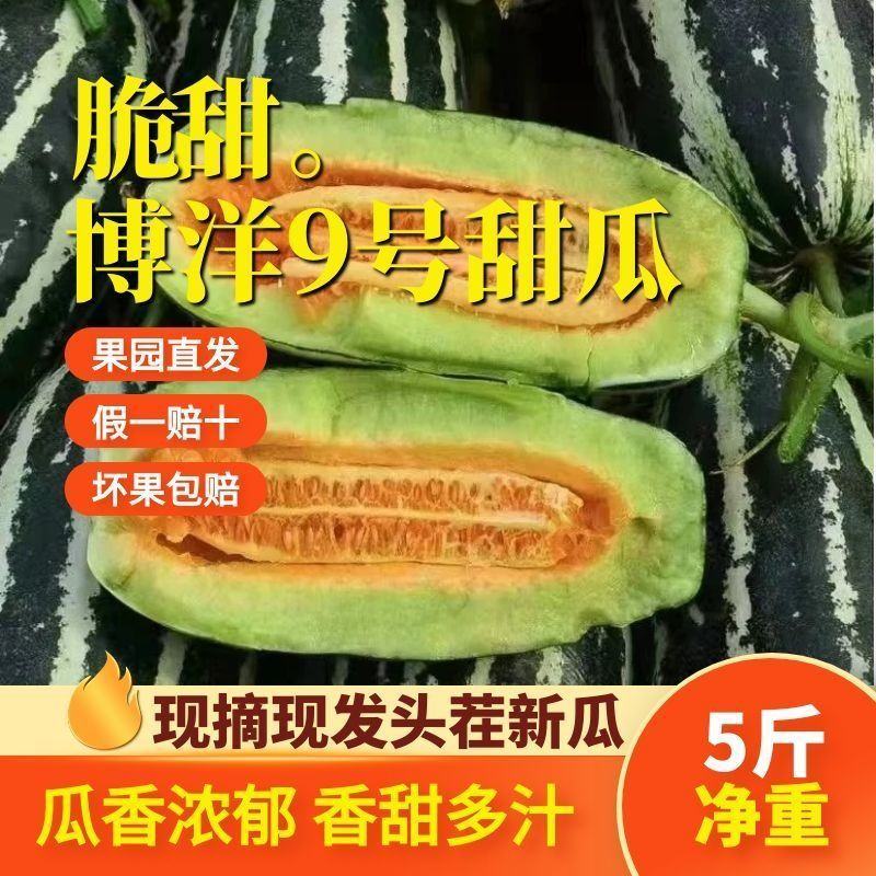 茉莉香葡萄着色香葡萄大量现货欢迎咨询合作共赢