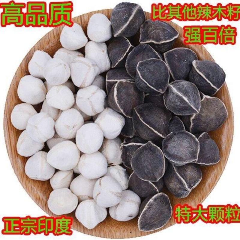 辣木籽正宗印度进口野生老树食用减解茶大果500g/10