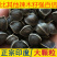 辣木籽正宗印度进口野生老树食用减解茶大果500g/10