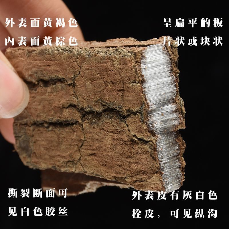 野生杜仲皮无熏硫正宗老树薄皮去厚皮批发中药材500g泡茶