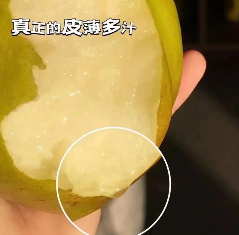 山西临猗玉露香梨水果基地，对接电商超市批发市场，
