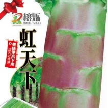 【推荐】莴苣种子，提供技术指导，回头客多，欢迎联系合作