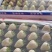 白草莓货源充足，产地直发，诚信经营，欢迎客商来电