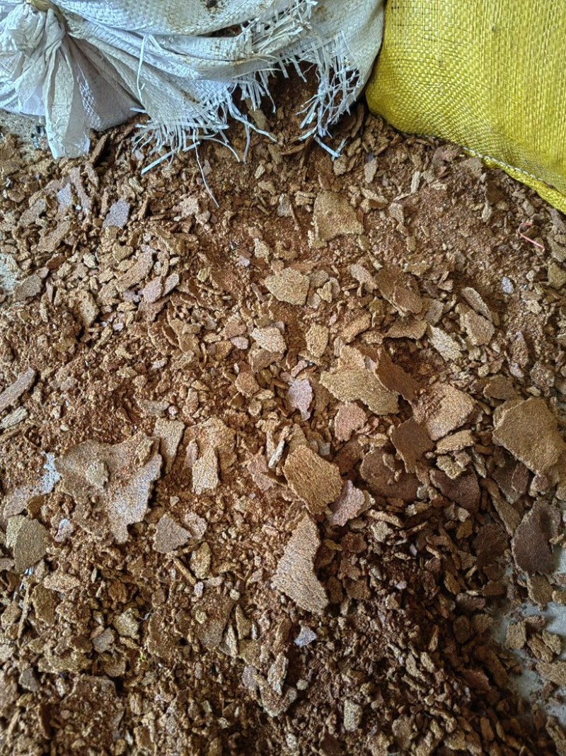 油菜籽油枯货源充足，产地直发，诚信经营，欢迎客商来电