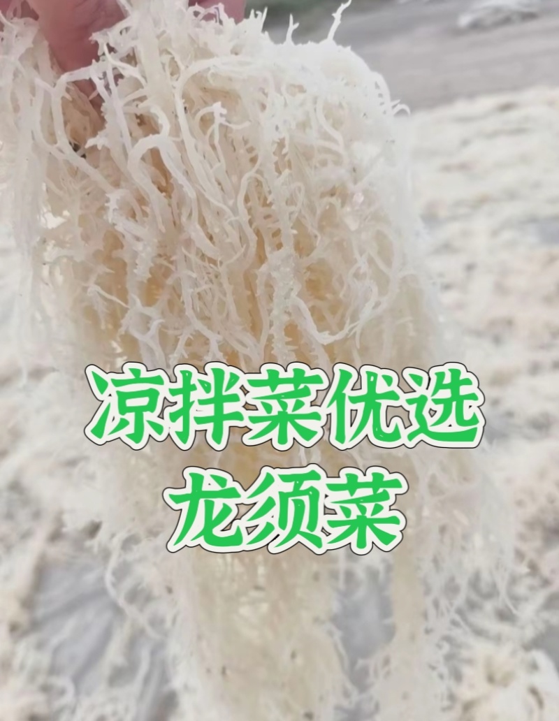 山东滕州产地批发质量保证一手货源量大优惠凉拌菜