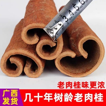 包邮大肉桂500g正宗广西特产刮皮桂皮烟桂桂心芯卤料香料