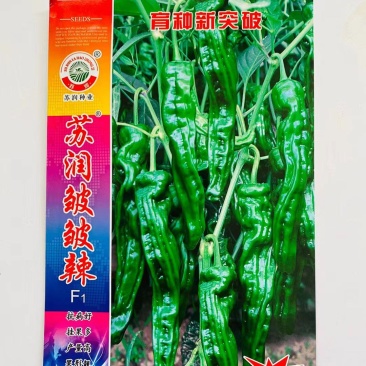 苏润皱皱辣辣椒种子口感好薄皮香辣高产抗病农家春秋播种精选