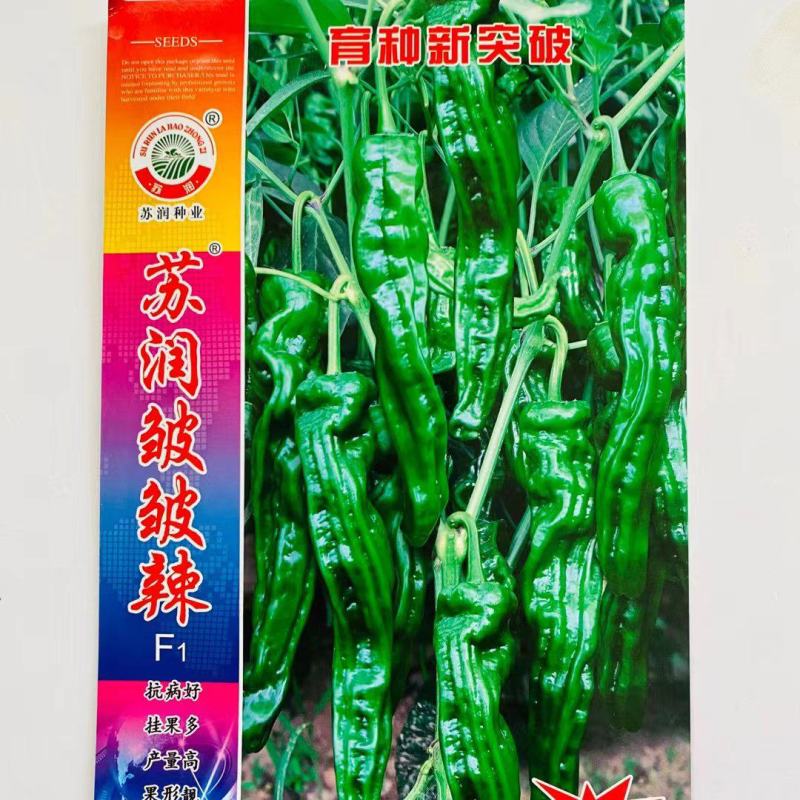 苏润皱皱辣辣椒种子口感好薄皮香辣高产抗病农家春秋播种精选