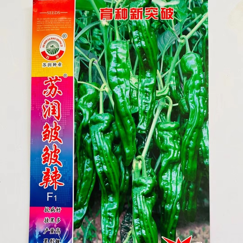 苏润皱皱辣辣椒种子口感好薄皮香辣高产抗病农家春秋播种精选