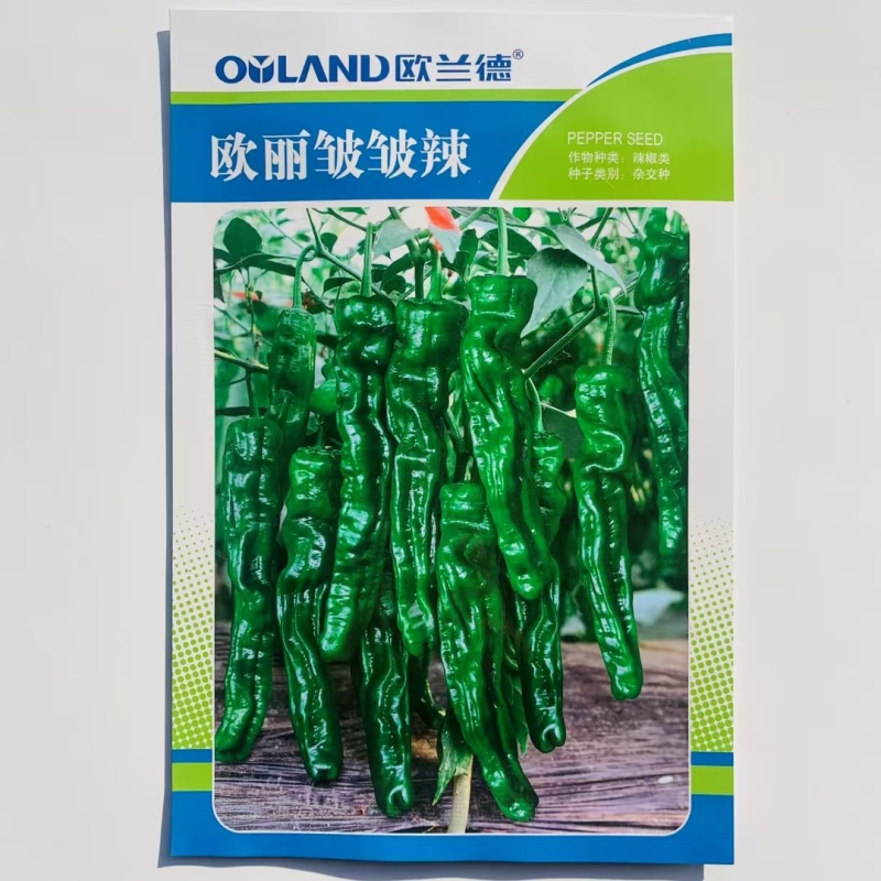 欧兰德欧丽皱皱辣种子特辣小皱皮辣椒种子深绿色皮薄味辣蔬菜