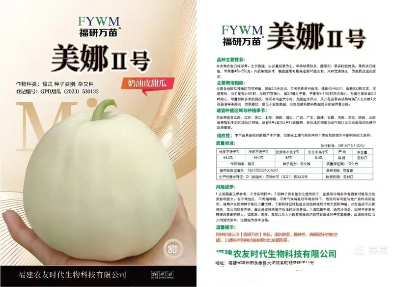 美娜11号杂交一代皮薄肉厚超大超甜高产量