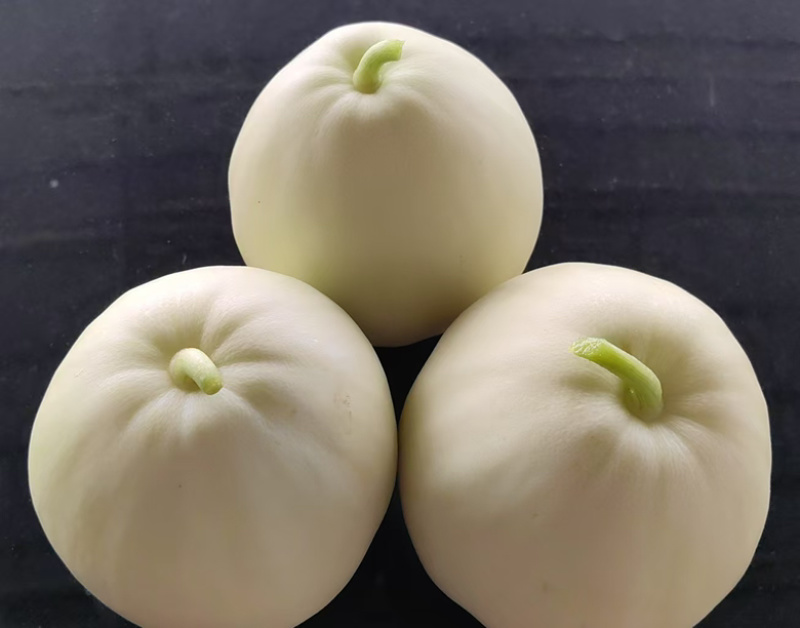 美娜11号杂交一代皮薄肉厚超大超甜高产量