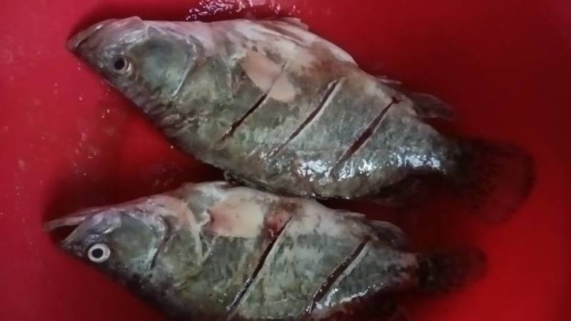新鲜鳜鱼，肉质鲜美，营养丰富，适合清蒸、红烧，家庭聚餐首选！