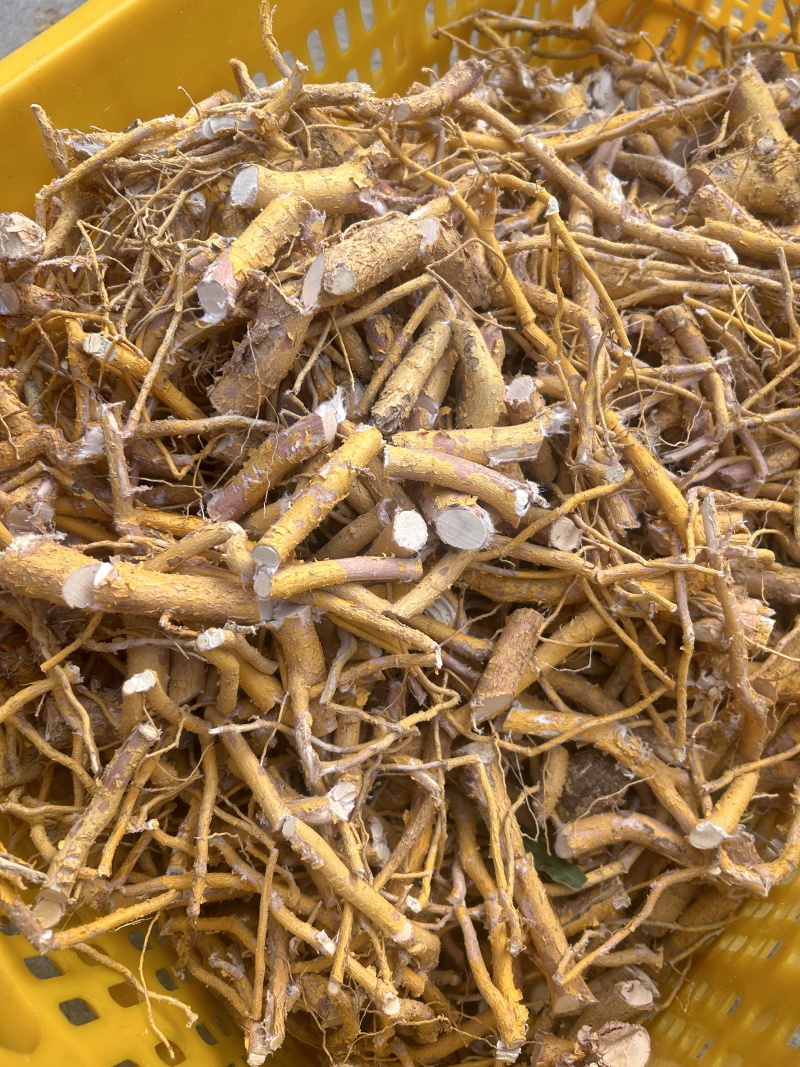 野生黄皮杜仲，金丝杜仲
