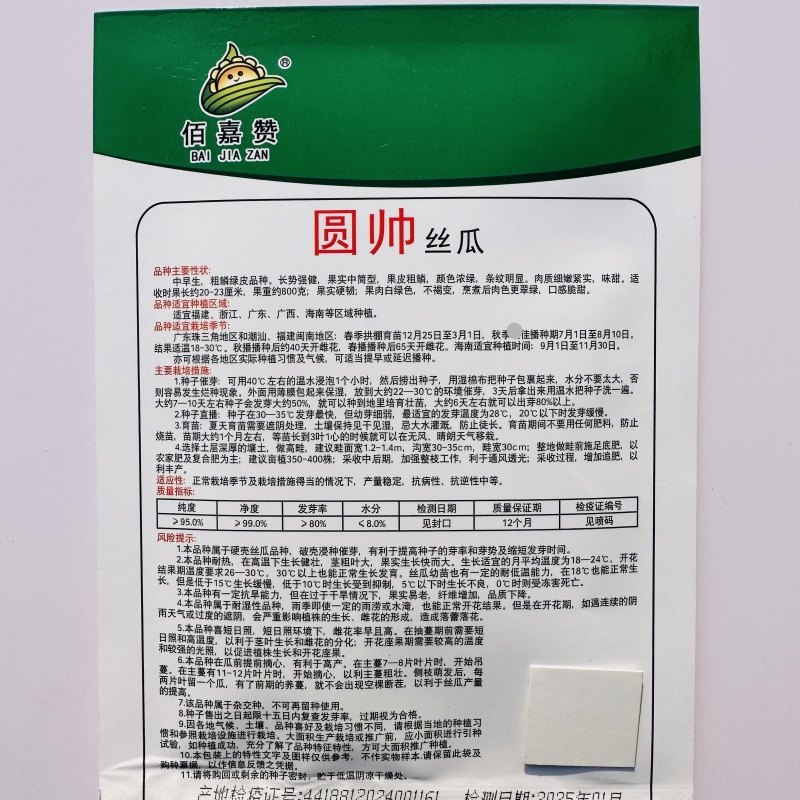 圆帅肉丝瓜种子高产佰嘉赞丝瓜种子不褐变脆甜大肉丝瓜种籽