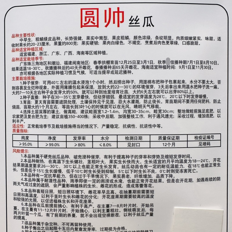 圆帅肉丝瓜种子高产佰嘉赞丝瓜种子不褐变脆甜大肉丝瓜种籽